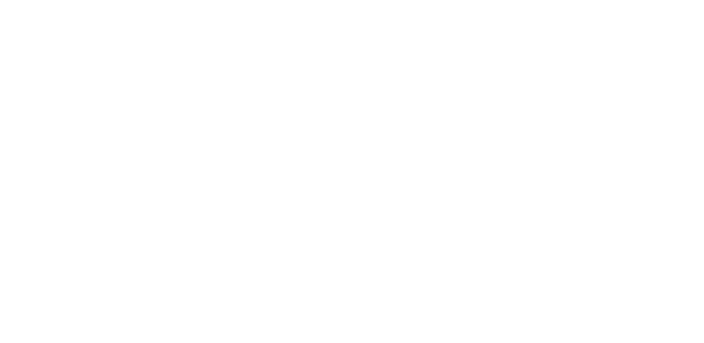 Bílé logo Aneta-foto